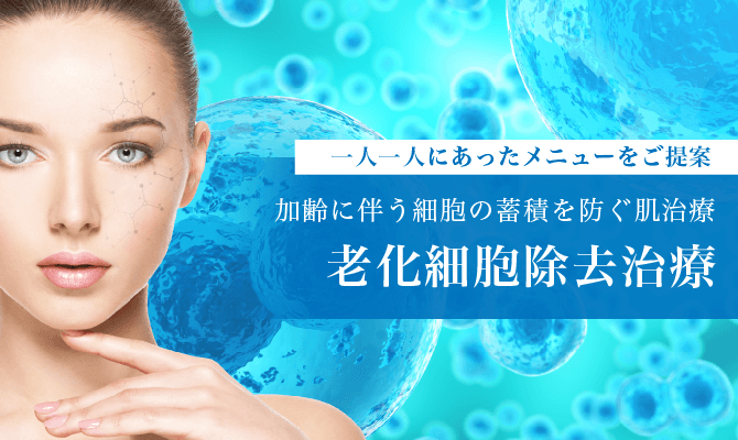 老化細胞除去治療