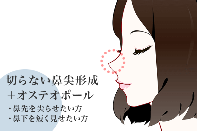 鼻先を尖らせた鼻下を短く見せる