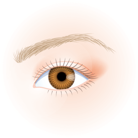 4Dアートメイク